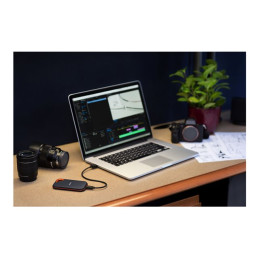 SSD - chiffré - 1 To - externe (portable) - USB 3.2 Gen 2x2 (USB-C connecteur) - AES 256 bit... (SDSSDE81-1T00-G25)_9