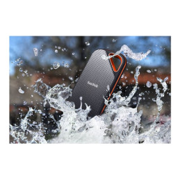 SSD - chiffré - 2 To - externe (portable) - USB 3.2 Gen 2x2 - AES 256 bits - pour Intel Next... (SDSSDE81-2T00-G25)_5