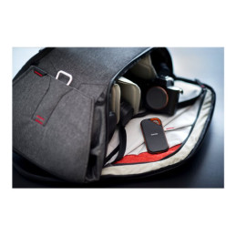 SSD - chiffré - 2 To - externe (portable) - USB 3.2 Gen 2x2 - AES 256 bits - pour Intel Next... (SDSSDE81-2T00-G25)_8