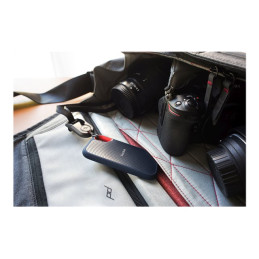 SSD - chiffré - 500 Go - externe (portable) - USB 3.2 Gen 2 - AES 256 bits (SDSSDE61-500G-G25)_8