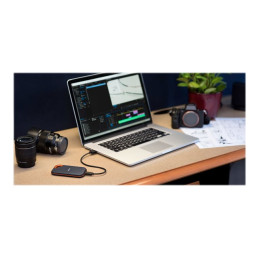 SSD - 4 To - externe (portable) - USB 3.2 Gen 2x2 - AES 256 bits (SDSSDE81-4T00-G25)_4