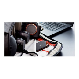 SSD - 4 To - externe (portable) - USB 3.2 Gen 2x2 - AES 256 bits (SDSSDE81-4T00-G25)_5