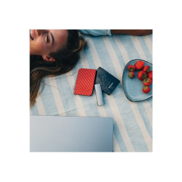 SSD - 1 To - externe (portable) - USB 3.2 Gen 2 (USB-C connecteur) - gris sidéral (47444)_5