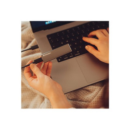 SSD - 1 To - externe (portable) - USB 3.2 Gen 2 (USB-C connecteur) - gris sidéral (47444)_6