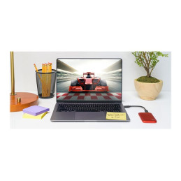 SSD - chiffré - 1 To - externe (portable) - USB 3.2 Gen 2 (USB-C connecteur) - AES 256 bits... (WDBAGF0010BRD-WESN)_8