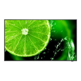Classe de diagonale 65" (64.5" visualisable) - E Series LED display unit - signalisation numérique - ... (60005059)_1