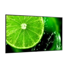 Classe de diagonale 75" (74.5" visualisable) - E Series LED display unit - signalisation numérique - ... (60005157)_5