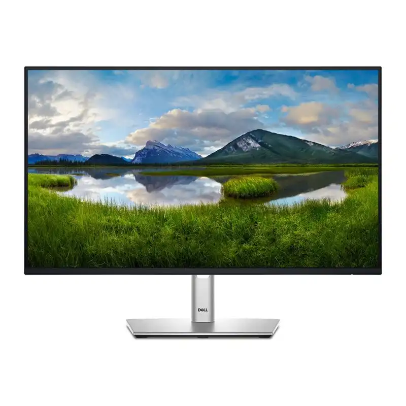 Dell 24 Monitor - P2425H, 60.5cm (23.8") (DELL-P2425H)_1