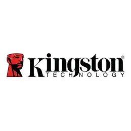 Kingston - DDR5 - module - 16 Go - DIMM 288 broches - 4800 MHz - PC5-38400 - CL40 - 1.1 V - mé... (KSM48R40BS8TMI-16HAI)_1