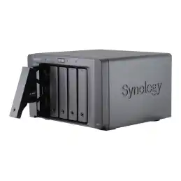 SYNOLOGY (DX517)_1