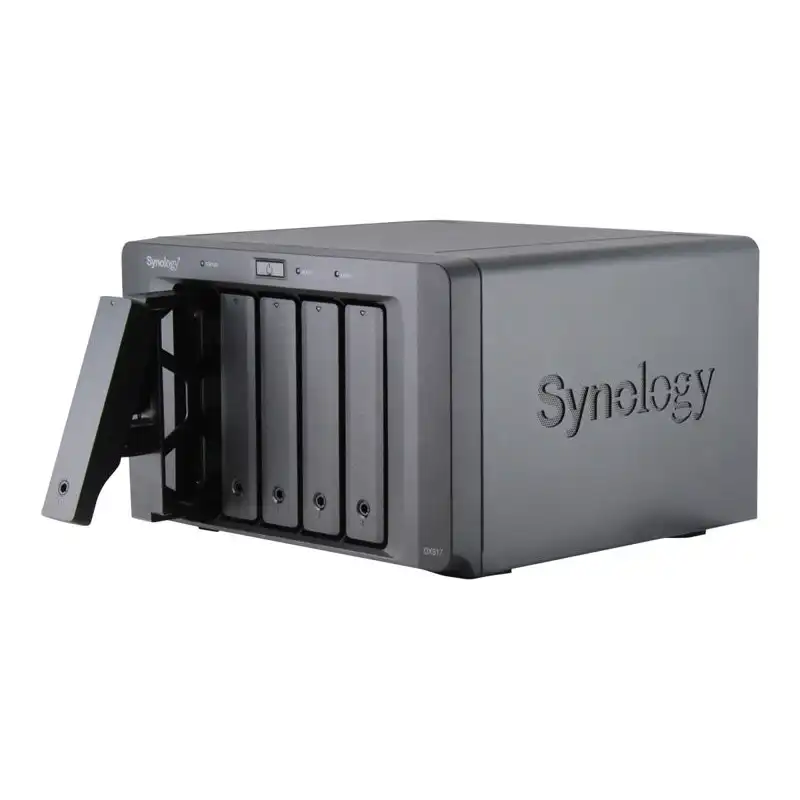 SYNOLOGY (DX517)_1