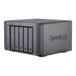 SYNOLOGY (DX517)_2