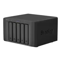 SYNOLOGY (DX517)_3