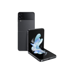 Enterprise Edition - 5G smartphone - double SIM - RAM 8 Go - Mémoire interne 128 Go - écran OEL... (SM-F721BZAGEEB)_5