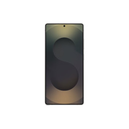 Enterprise Edition - 5G smartphone - double SIM - RAM 12 Go - Mémoire interne 512 Go - écran OE... (SM-S938BZKGEEB)_1