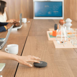 Logitech Rally Mic (989-000430)