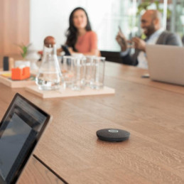 Logitech Rally Mic (989-000430)