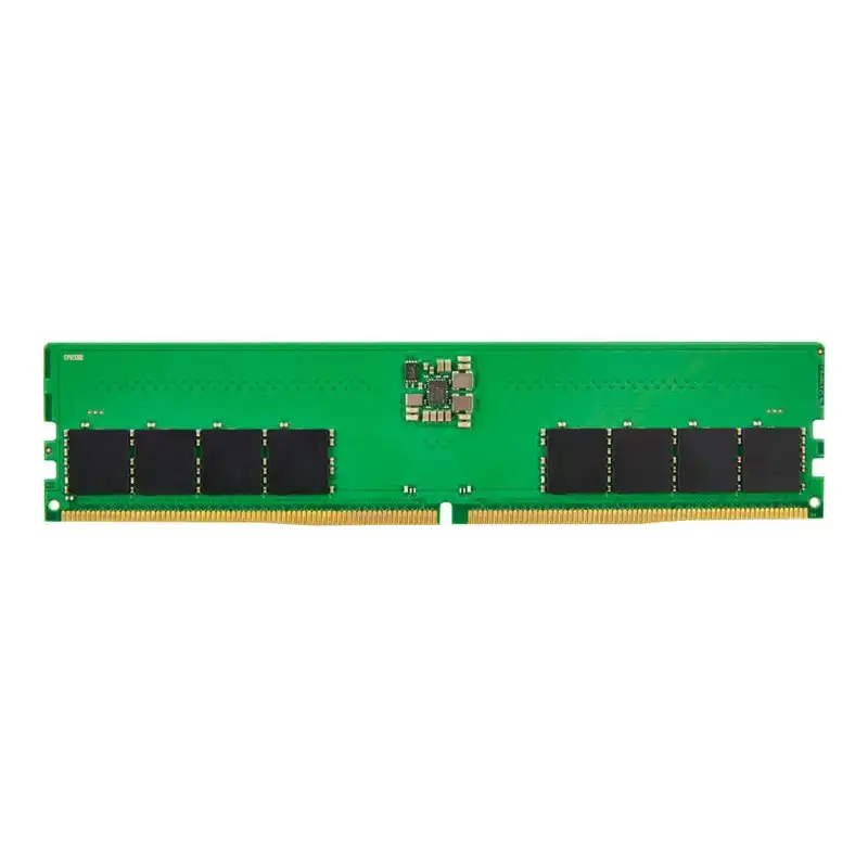 HP 32GB (1x32GB) DDR5 4800 UDIMM ECC Mem (4M9Y3AA)_1