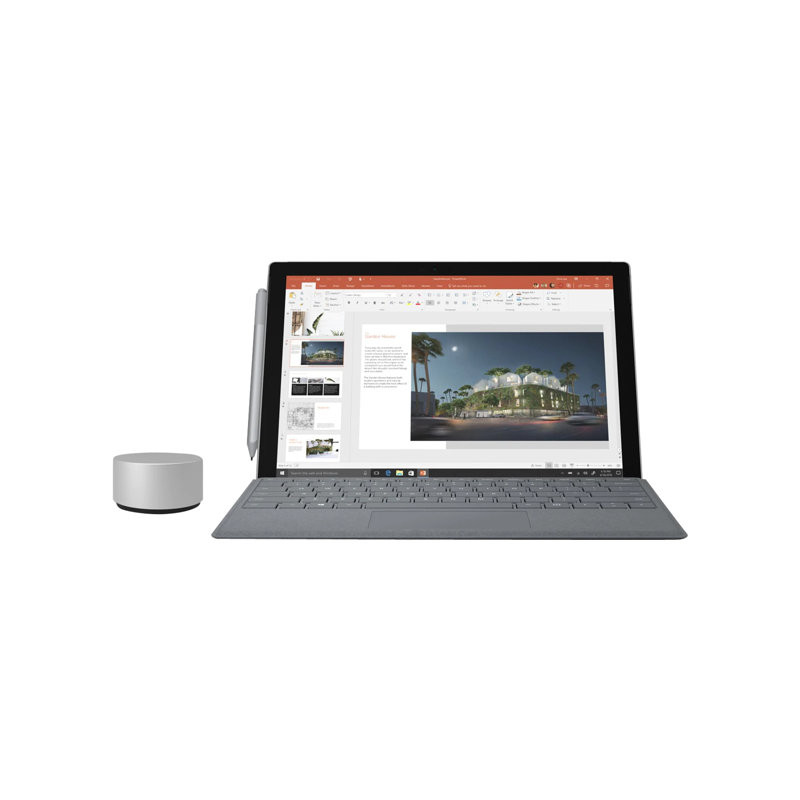 Microsoft Surface Pro Platine - Ecran Tactile 12'' - Copilot+PC - Snapdragon X Plus - 16Go RAM - 512... (EP2-27660)_1