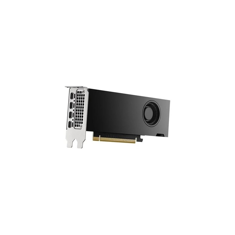 Carte graphique - NVIDIA RTX 2000 Ada - 16 Go GDDR6 - PCIe 4.0 x8 - 4 x Mini DisplayPort (DELL-M7X81)_1