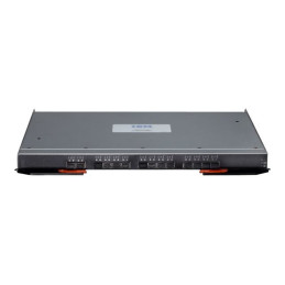 IBM Flex System EN4091 10Gb Ethernet Pass-thru (88Y6043)_1