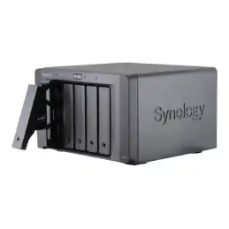 SYNOLOGY (DX517)_1