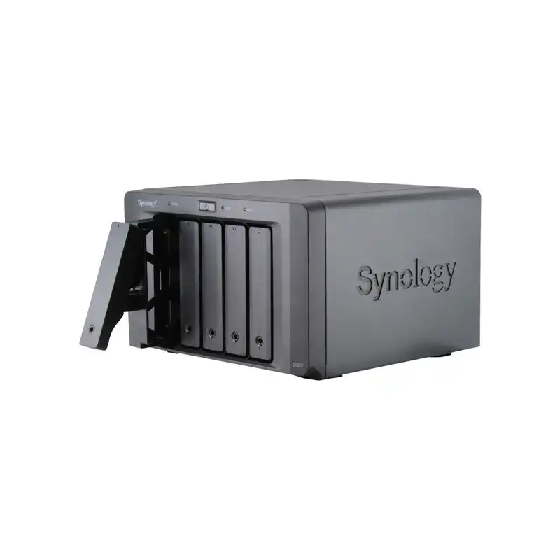 SYNOLOGY (DX517)_1