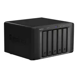 SYNOLOGY (DX517)_4