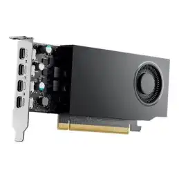 NVIDIA RTX A1000 - Carte graphique - RTX A1000 - 8 Go GDDR6 - PCIe 4.0 x8 profil bas - 4 x Mini Dis... (DELL-WN82J)_2