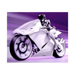 Moniteur OLED - jeux - 27" (26.5" visualisable) - 2560 x 1440 QHD @ 360 Hz - 1000 cd - m² - 15000... (27M2N8500/00)_1