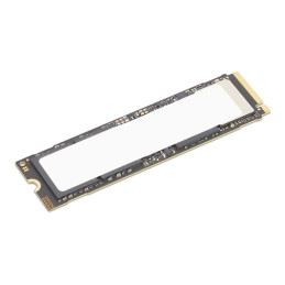 SSD - chiffré - 1 To - performance - interne - M.2 2280 - PCI Express 5.0 x4 (NVMe) - TCG Opal Encr... (4XB1S30112)_1