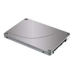 SSD - Read Intensive - 480 Go - interne - 2.5" SFF - SATA 6Gb - s - Multi Vendor (P65272-B21)_1