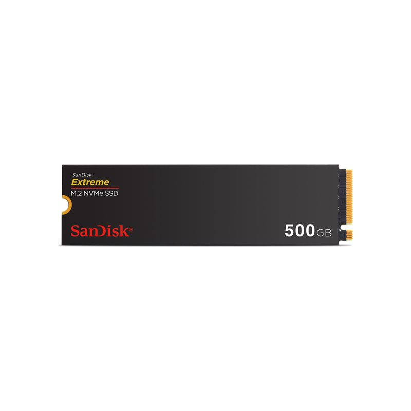 SSD - 500 Go - interne - M.2 2280 - PCIe 4.0 x4 (NVMe) (SDSSDX3N-500G-G26)_1