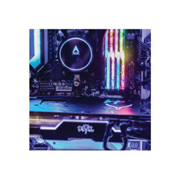 SSD - 512 Go - interne - M.2 2280 - SATA 6Gb - s (49363)_3