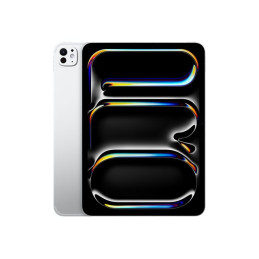 Tablette - 1 To - 11" Tandem OLED (2420 x 1668) - avec verre à nano-texture - 3G, 4G, 5G - argent (ME2X4TY/A)_1