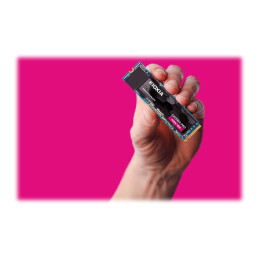 SSD - 1 To - interne - M.2 2280 - PCIe 4.0 x4 (NVMe) (LSE10Z001TG8)_1