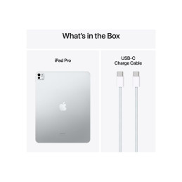 Tablette - 2 To - 13" Tandem OLED (2752 x 2064) - avec verre à nano-texture - 3G, 4G, 5G - argent (MWT23NF/A)_2