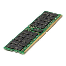 HPE SmartMemory - DDR5 - module - 256 Go - DIMM 288 broches - 5600 MHz - PC5-44800 - 1.1 V - enregi... (P64710-B21)_1