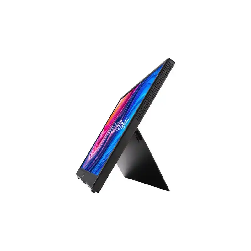 Écran LED - 14" - portable - 1920 x 1080 Full HD (1080p) - IPS - 300 cd - m² - 700:1 - 5 ms - ... (90LM06E0-B01170)_1