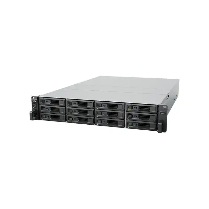 Serveur NAS - 12 Baies - rack-montable - SATA 6Gb - s - SAS - RAID RAID F1, JBOD, 0, 1, 5, 6, 10 - RAM ... (SA3610)_1