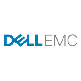 Dell EMC - SSD - 1.92 To (DD-19-SSD-INT)_1