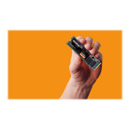 KIOXIA EXCERIA G2 - SSD - 1 To - interne - M.2 2280 - PCIe 3.1 x4 (NVMe) (LRC20Z001TG8)_1
