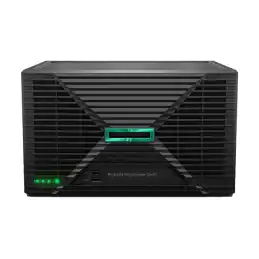 HPE MicroSvr G11 E-2434 32G NHP EMEA Svr (P75207-425)_2