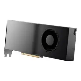 NVIDIA RTX 4500 Ada - Carte graphique - RTX 4500 Ada - 24 Go GDDR6 - PCIe 4.0 x16 - 4 x DisplayPort (8D6C1AA)_1