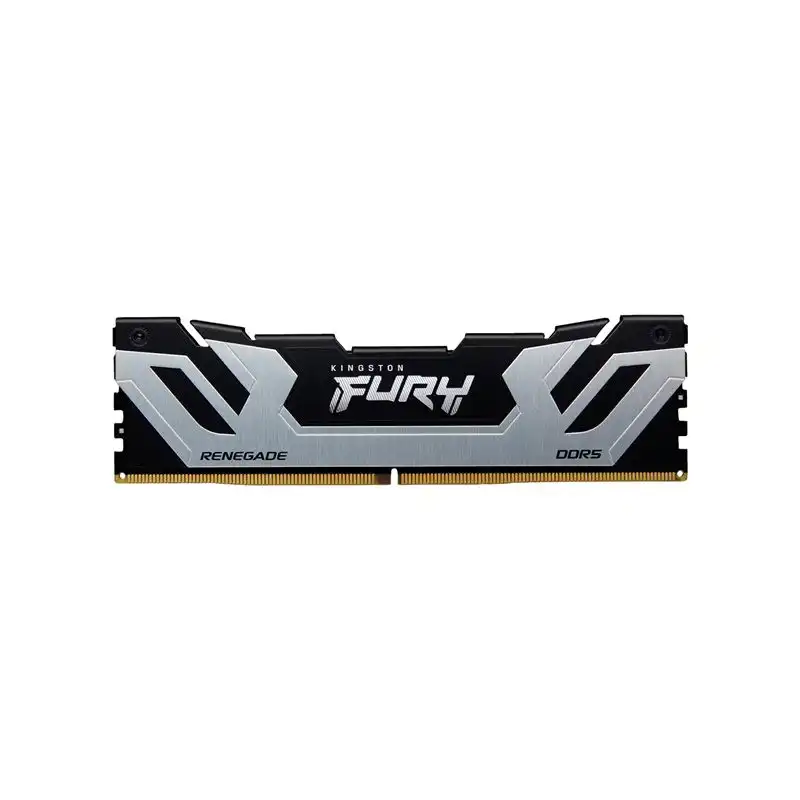 Kingston FURY Renegade - DDR5 - module - 24 Go - DIMM 288 broches - 4200 MHz - PC5-67200 - CL40... (KF584CU40RS-24)_1