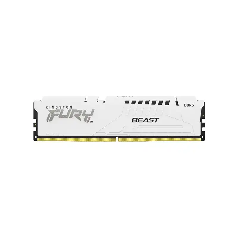 Kingston FURY Beast - DDR5 - module - 16 Go - DIMM 288 broches - 6000 MHz - PC5-48000 - CL36 -... (KF560C36BWE2-16)_1