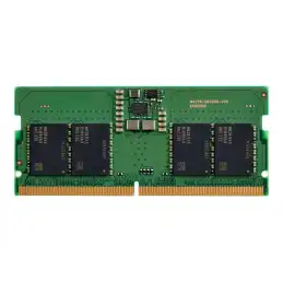 HP - DDR5 - module - 8 Go - SO DIMM 262 broches - 5600 MHz - PC5-44800 - 1.1 V (AL0M5AA)_1