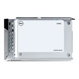 Dell - SSD - Centre de données, Lecture intensive - 960 Go - avec transporteur - 2.5" - U.2 PCIe 4.0 ... (400-BMTR)_1