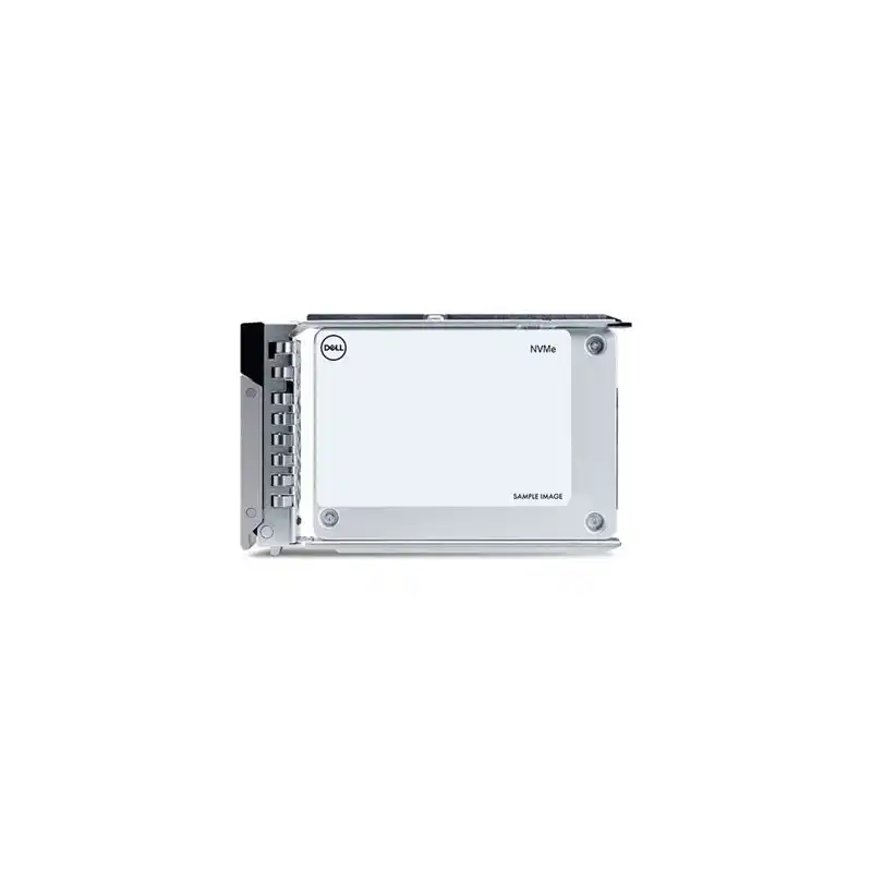 Dell - SSD - Centre de données, Lecture intensive - 960 Go - avec transporteur - 2.5" - U.2 PCIe 4.0 ... (400-BMTR)_1
