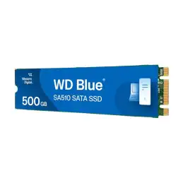 WD Blue SA510 - SSD - 500 Go - interne - M.2 2280 - SATA 6Gb - s (WDS500G3B0B-00AXS0)_1